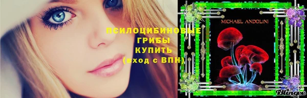 дмт Богородск