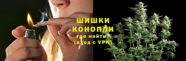 прущая мука Богданович