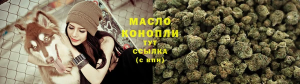 дмт Богородск