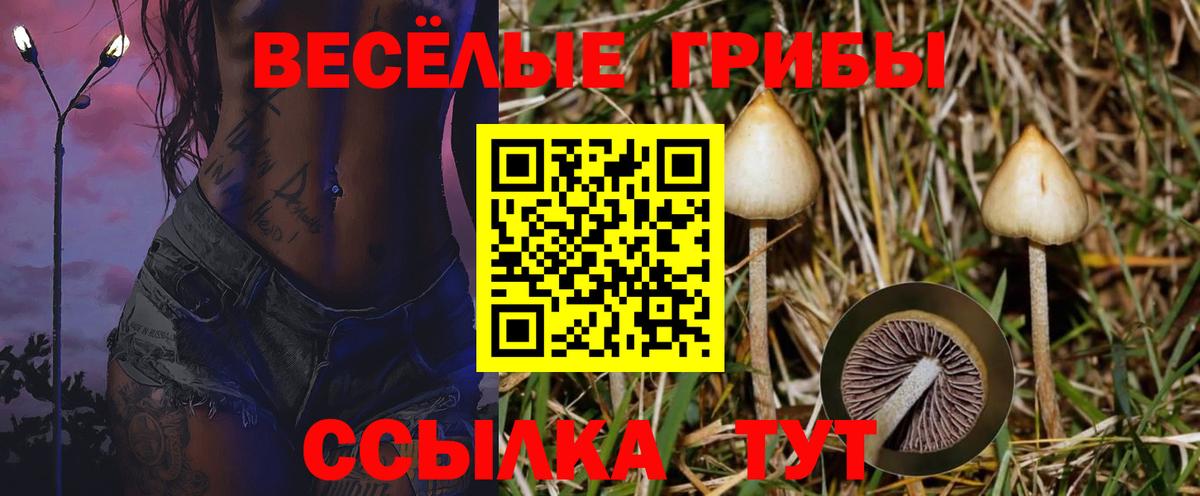 Галлюциногенные грибы Psilocybe  Галлюциногенные грибы Cubensis  Среднеуральск  Вход с VPN 